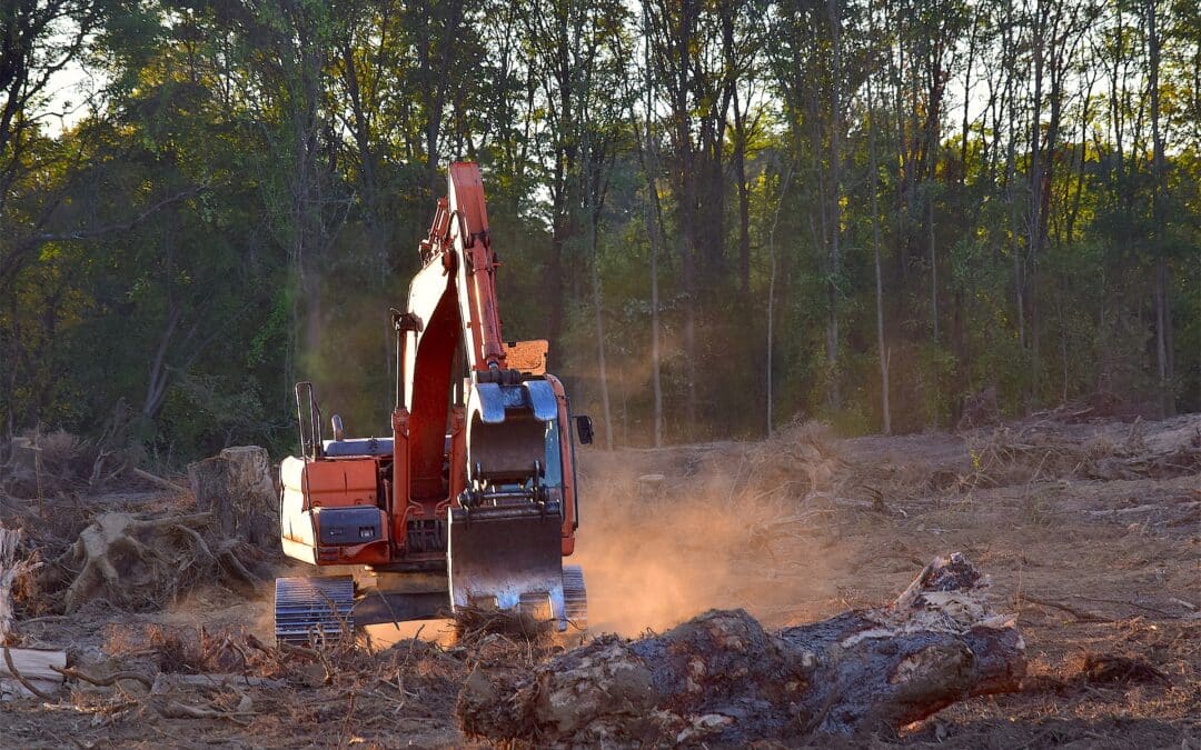 Expert Land Clearing Service for Construction Sites in Covington