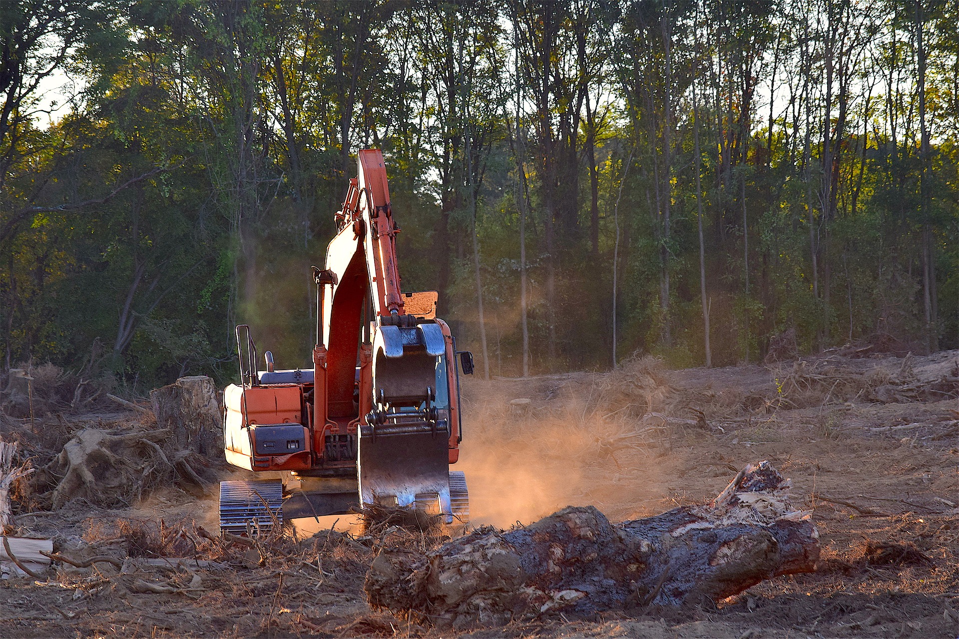 Clarkson Land Clearing