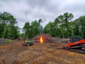 Understanding Land Clearing Services